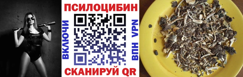 Псилоцибиновые грибы мицелий Лагань