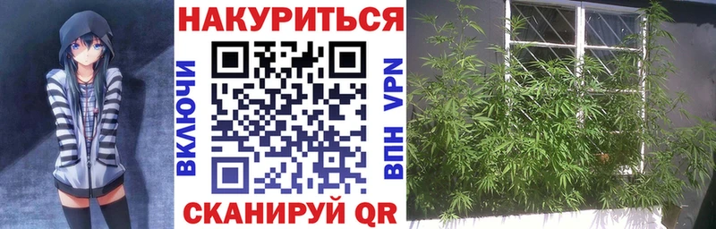 Каннабис Amnesia  Купить закладки  Лагань 